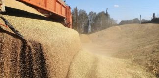 importul de cereale din Ucraina