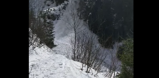 avalansa bucegi