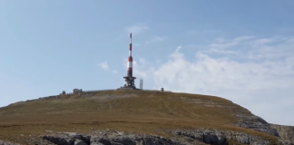 releu costila bucegi
